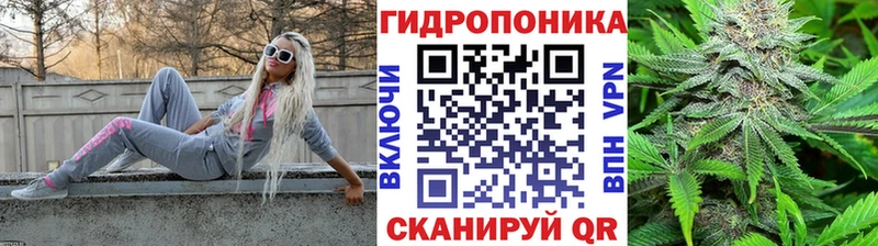 Сколько стоит Хилок Амфетамин  Меф  МЕТАДОН  KRAKEN маркетплейс  COCAIN  ГАШ  Бошки Шишки 