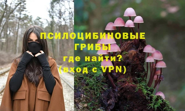 сатива Абдулино