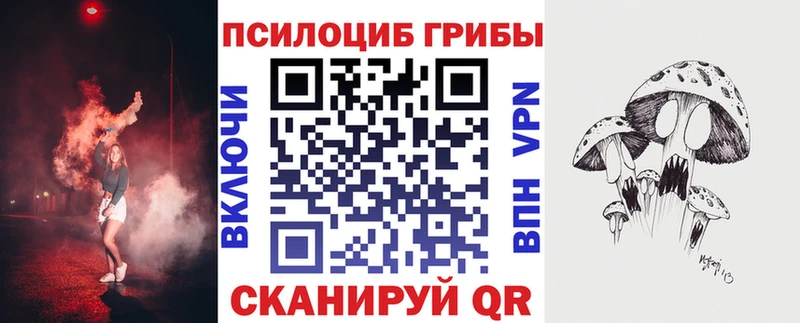 OMG онион  Хилок  Галлюциногенные грибы мицелий 