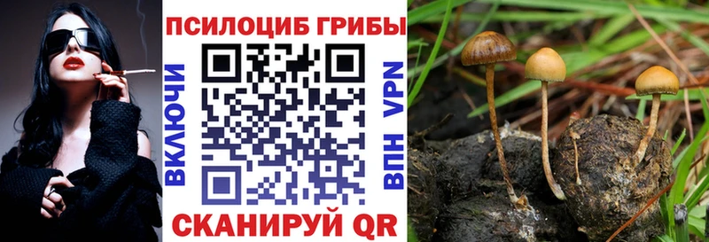 Галлюциногенные грибы MAGIC MUSHROOMS Хилок